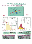 [Top quark physics (Present and Future) : 09]